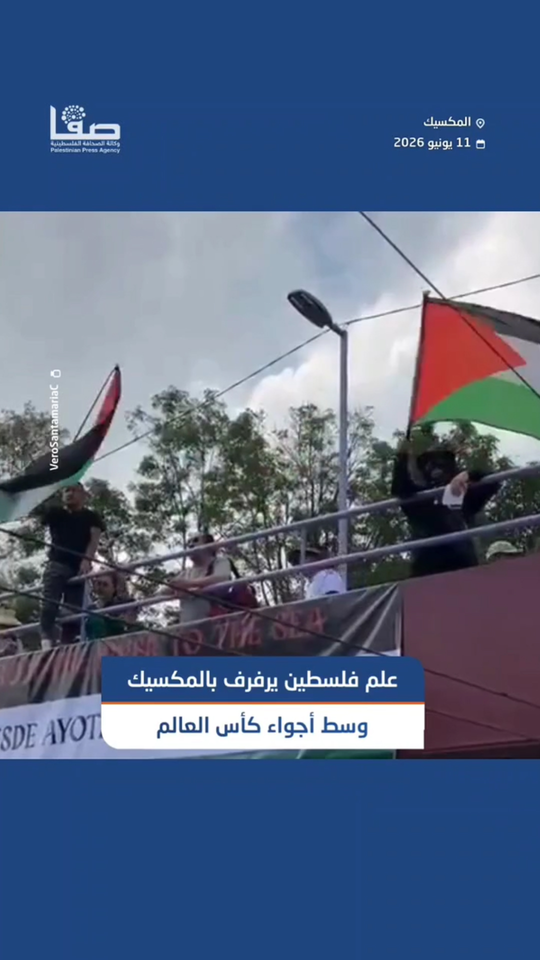 علم فلسطين يرفرف في المكسيك _ كأس العالم